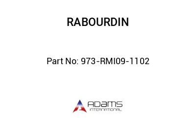 973-RMI09-1102