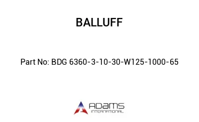 BDG 6360-3-10-30-W125-1000-65									